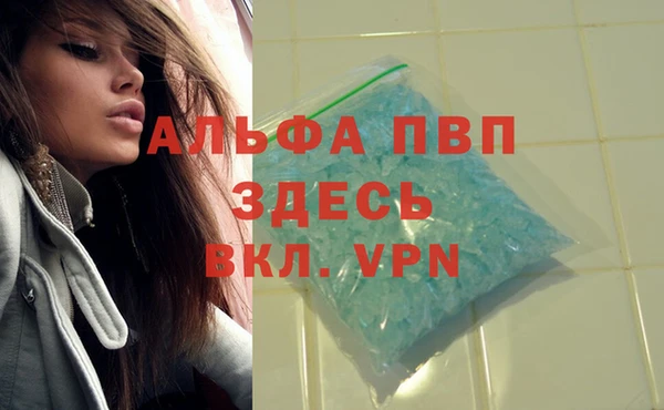 герыч Бердск
