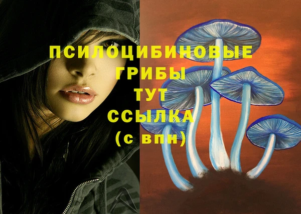 мет Абаза
