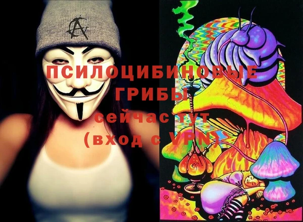 хмурый Абинск