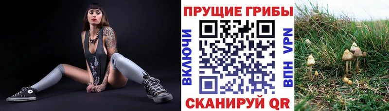 Галлюциногенные грибы MAGIC MUSHROOMS mega ссылки Заволжье